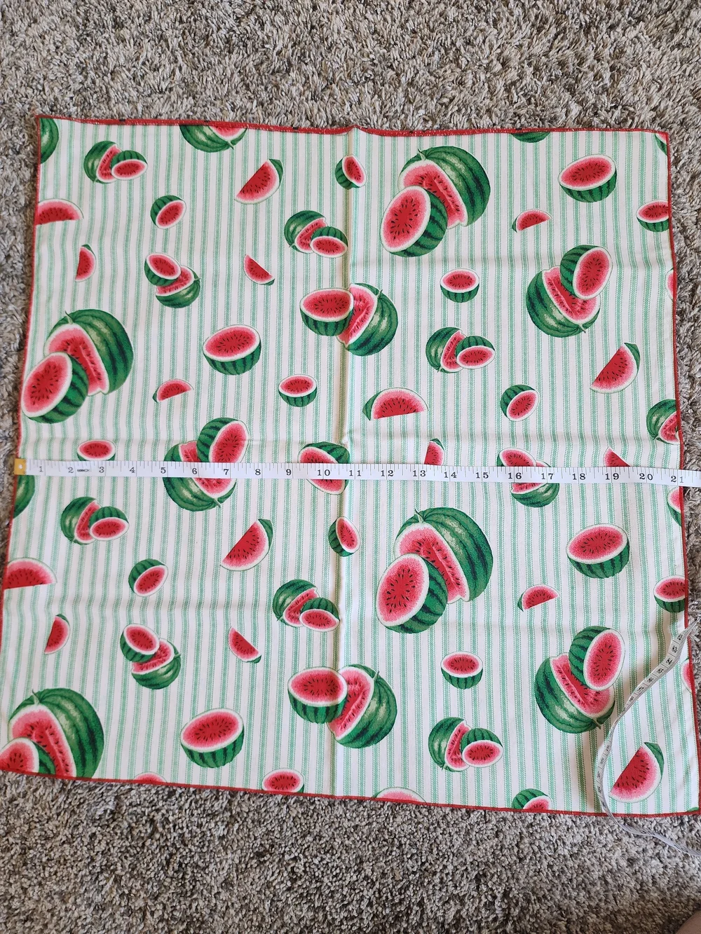 Watermelon Cloth Napkins Set of 4 Reversible Summer 20x20
